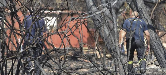 Η απίστευτη ιστορία πίσω από την τρυφερή φωτογραφία από την κόλαση και ο 14χρονος ήρωας – Βίντεο